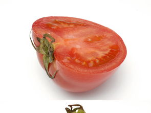 清新之源 西红柿，新鲜蔬菜与绿色食品的艺术呈现