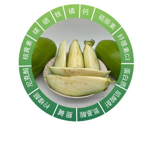 家常美味新选择 河南新鲜青茄子，从田间直达您餐桌的美味与新鲜