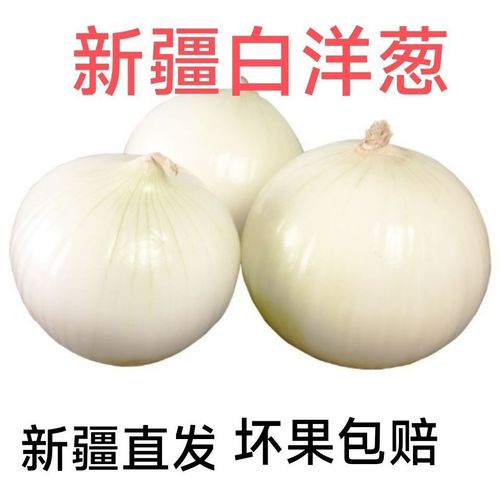 新疆白洋葱凉拌菜白皮牙子新鲜蔬菜抓饭炒菜生吃新疆直发爆款